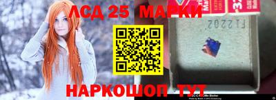 индика Будённовск