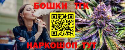 индика Будённовск