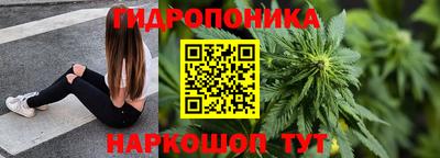 индика Будённовск