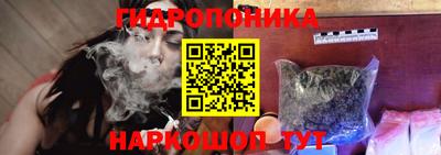 индика Будённовск