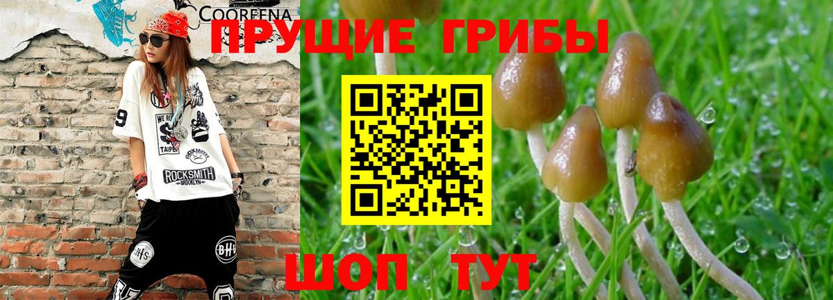 Галлюциногенные грибы мицелий Котлас