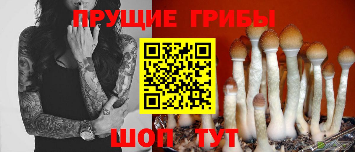 Котлас  Псилоцибиновые грибы ЛСД  Вход с VPN 